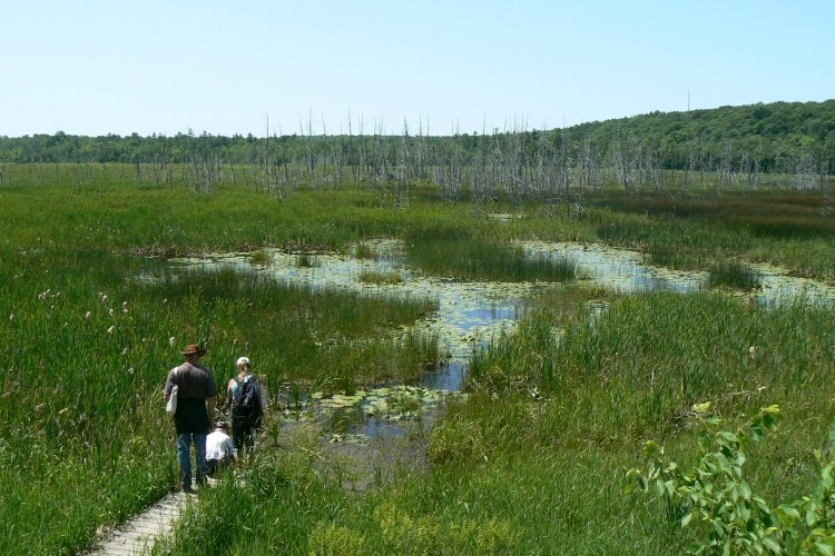 Visit nature at it's best!