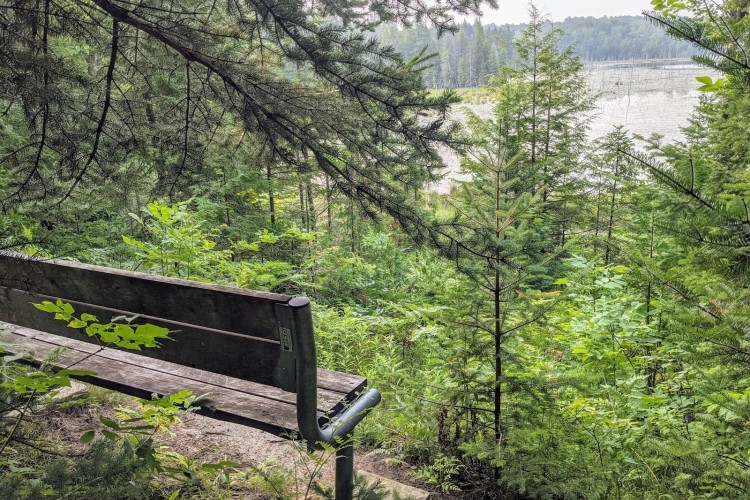 Camp Oliver Lookout