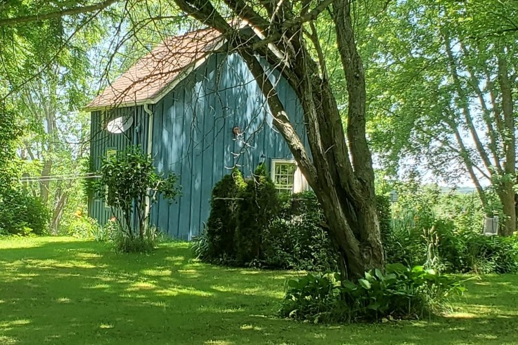 exterior view of a cabin in the woods during the summer