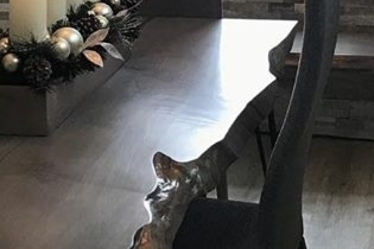 Grey Single Board Live Edge Table with Bench