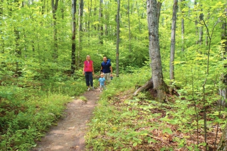Kolapore