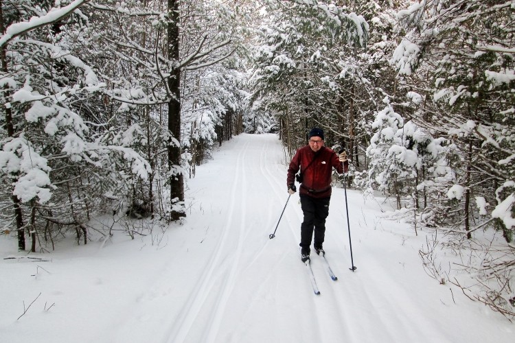 Owen Sound Cross Country Ski Club