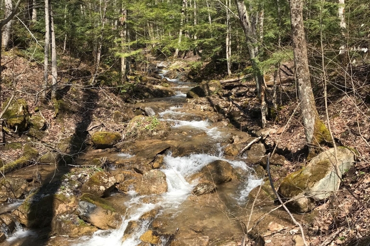Pretty River Creek