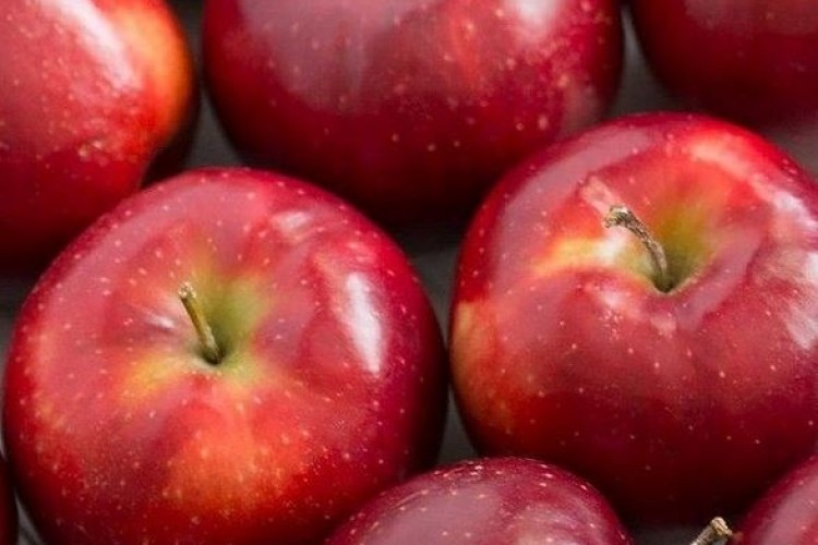 Binkleys Apples (Red Prince Apples)