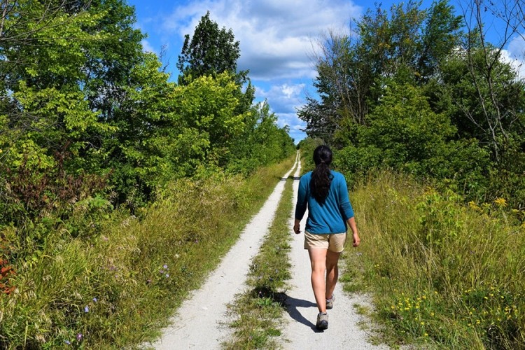 Hiking the Grey County Rail Trail