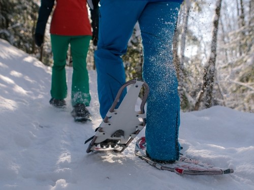 Snowshoeing at Pretty River Provincial Park