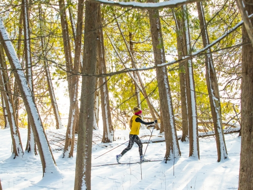 Cross Country Skiing