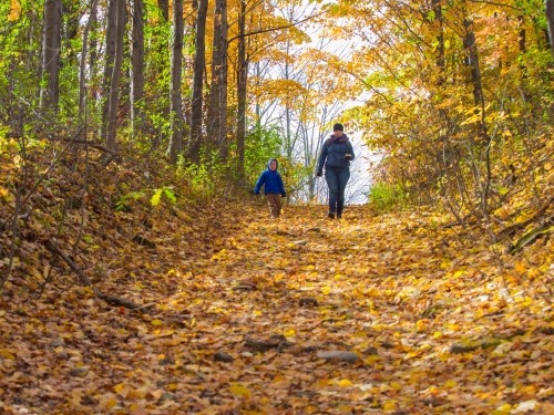 Hiking the Bruce Trail