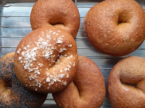 Golden-baked bagels on a metal tray. One is sprinkled with coarse sea salt.
