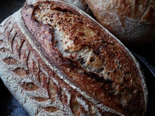 A rosy amber baked loaf of sourdough, with a score down the centre of the oblong shape, and leaf-like scoring down the left side.