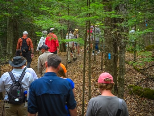 people hiking with backpacks