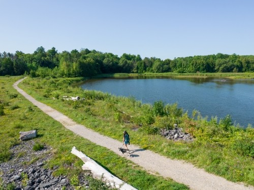 Clendenan Dam