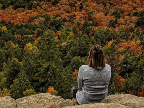 woman looking at fall view while sitting on rock