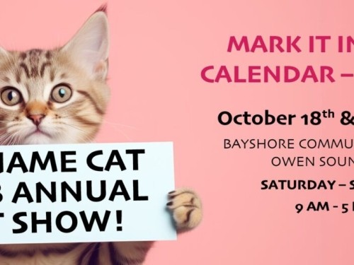 No Name's Annual Cat Show
