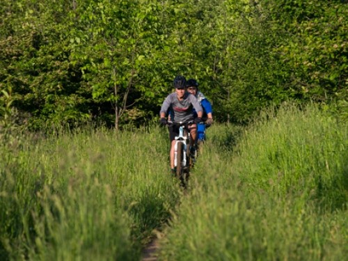 Cyclist on trail