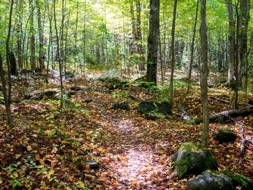 Hiking trail in fall