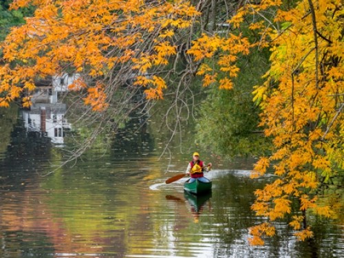 Fall paddler on Sydenham River