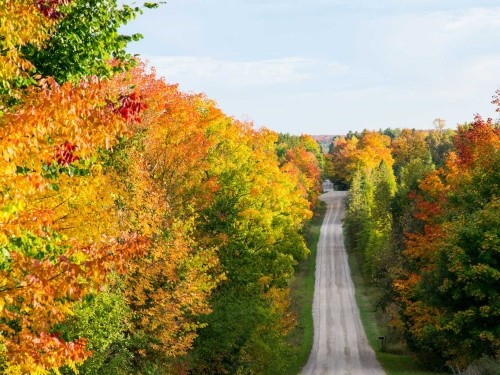 Fall backroads