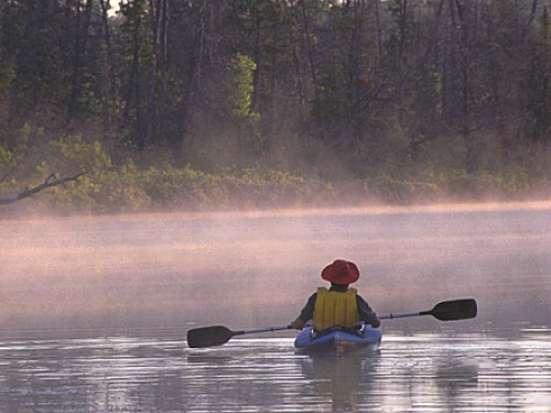 Paddler on foggy lake