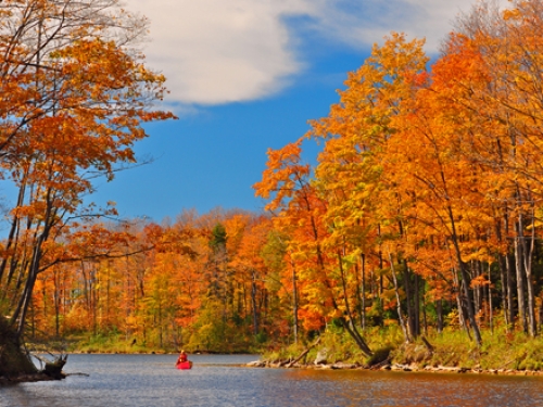 Lake Eugenia in fall