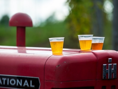 beer glasses on tractor at Bighead Hops farm