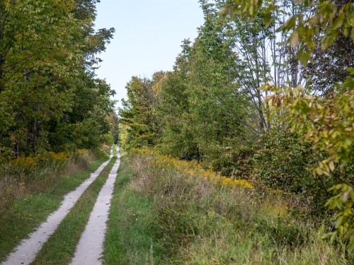 CP Rail Trail