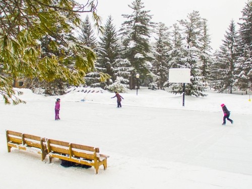 Skating at Harrison Park