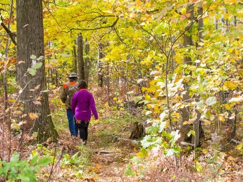 Hiking at Skinners Bluff