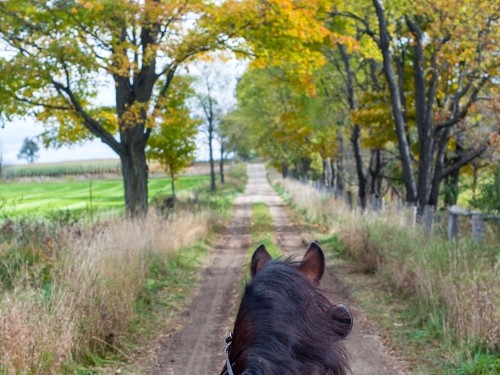 Horse back riding
