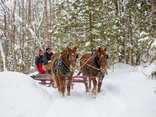 Dual Acres Sleigh Rides