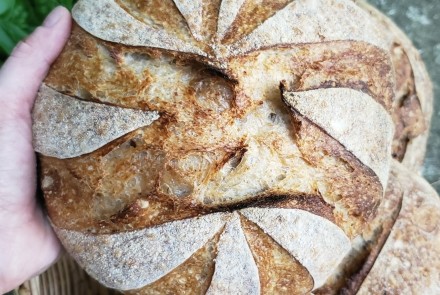 A fresh loaf of golden baked sourdough, scored with a windmill like design