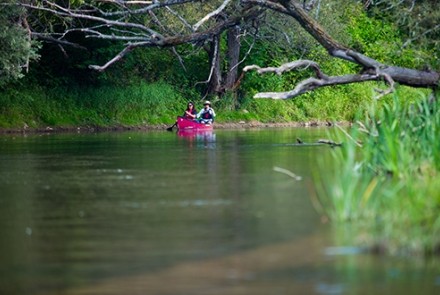 paddlers on beaver river 