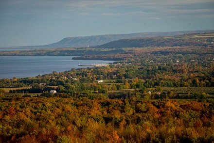 Fall colours from lookout 