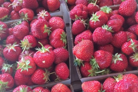 Dykstra strawberries