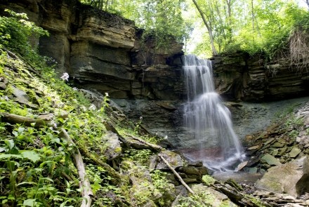 Fall Image of Webwood Falls