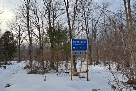 Francis Lake - Sign