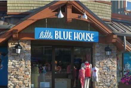 Little Blue House 