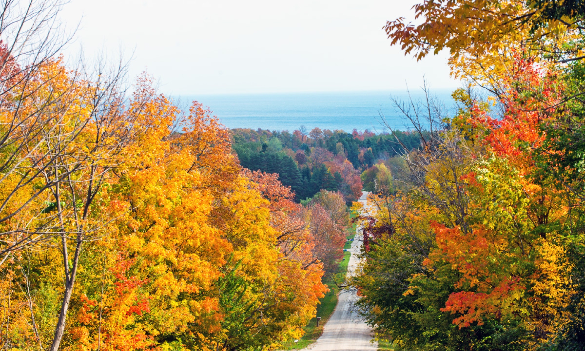 Fall back road image