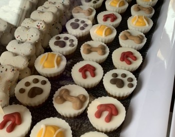 Barkhouse Pets Barkhouse Pets