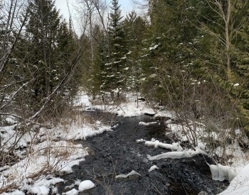 Hiking in Grey Highlands Hiking in Grey Highlands