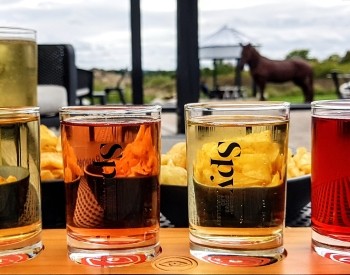 Local Vineyards and Cideries