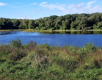 Local Vineyards and Cideries