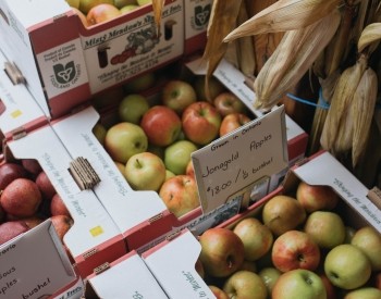 Misty Meadows Market