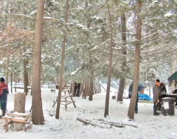Holstein Maplefest