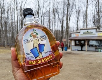 Maple Magic