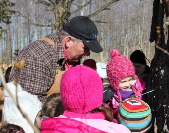 Holstein Maplefest