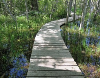 Friends of Hibou Trails