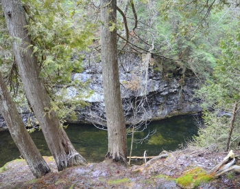 Feversham Gorge