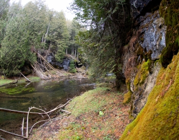 Feversham Gorge