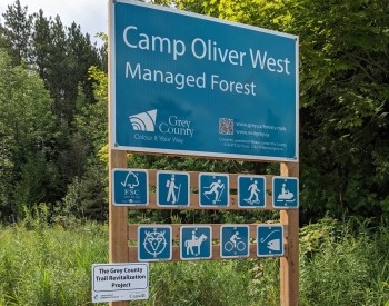 Camp Oliver Managed Forest